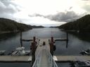 ./images/calvert/dock/20150617/dock20150617_104004.jpg