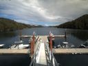 ./images/calvert/dock/20150617/dock20150617_162005.jpg