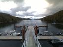 ./images/calvert/dock/20150618/dock20150618_051501.jpg
