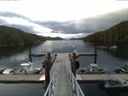 ./images/calvert/dock/20150618/dock20150618_052502.jpg