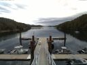 ./images/calvert/dock/20150618/dock20150618_070004.jpg