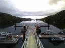 ./images/calvert/dock/20150620/dock20150620_050501.jpg
