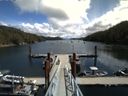 ./images/calvert/dock/20150620/dock20150620_130502.jpg