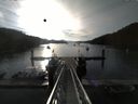 ./images/calvert/dock/20150622/dock20150622_071504.jpg