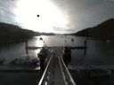 ./images/calvert/dock/20150622/dock20150622_072004.jpg