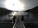 ./images/calvert/dock/20150622/dock20150622_073003.jpg