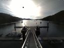 ./images/calvert/dock/20150622/dock20150622_073501.jpg