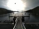 ./images/calvert/dock/20150622/dock20150622_075002.jpg