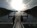 ./images/calvert/dock/20150622/dock20150622_084504.jpg