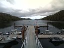 ./images/calvert/dock/20150622/dock20150622_183002.jpg