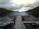 ./images/calvert/dock/20150622/dock20150622_184004.jpg