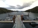 ./images/calvert/dock/20150624/dock20150624_184502.jpg