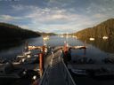 ./images/calvert/dock/20150628/dock20150628_201502.jpg