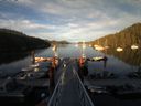 ./images/calvert/dock/20150628/dock20150628_202501.jpg