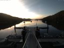 ./images/calvert/dock/20150703/dock20150703_054504.jpg