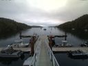 ./images/calvert/dock/20150707/dock20150707_054004.jpg