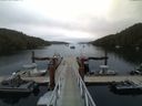 ./images/calvert/dock/20150707/dock20150707_054503.jpg