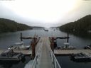 ./images/calvert/dock/20150707/dock20150707_064504.jpg