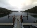 ./images/calvert/dock/20150707/dock20150707_095004.jpg
