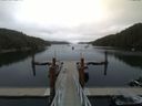 ./images/calvert/dock/20150707/dock20150707_095504.jpg
