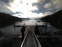 ./images/calvert/dock/20150710/dock20150710_081502.jpg