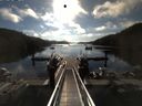 ./images/calvert/dock/20150710/dock20150710_082504.jpg