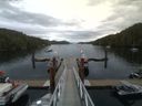 ./images/calvert/dock/20150711/dock20150711_084001.jpg