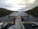 ./images/calvert/dock/20150711/dock20150711_085504.jpg