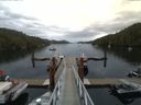 ./images/calvert/dock/20150711/dock20150711_090004.jpg