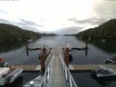 ./images/calvert/dock/20150711/dock20150711_091504.jpg