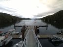 ./images/calvert/dock/20150711/dock20150711_093004.jpg