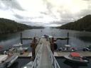 ./images/calvert/dock/20150711/dock20150711_124004.jpg