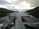 ./images/calvert/dock/20150711/dock20150711_130502.jpg