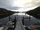 ./images/calvert/dock/20150712/dock20150712_055504.jpg