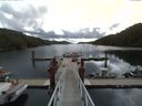 ./images/calvert/dock/20150713/dock20150713_105004.jpg