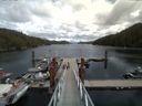 ./images/calvert/dock/20150713/dock20150713_143001.jpg