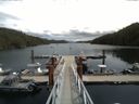./images/calvert/dock/20150714/dock20150714_133502.jpg