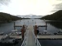 ./images/calvert/dock/20150714/dock20150714_155502.jpg