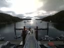 ./images/calvert/dock/20150715/dock20150715_083004.jpg
