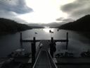 ./images/calvert/dock/20150719/dock20150719_090004.jpg