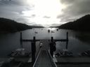 ./images/calvert/dock/20150719/dock20150719_092503.jpg
