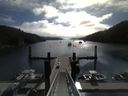 ./images/calvert/dock/20150719/dock20150719_095502.jpg
