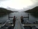 ./images/calvert/dock/20150720/dock20150720_084501.jpg