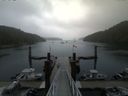 ./images/calvert/dock/20150720/dock20150720_094504.jpg