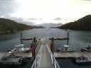 ./images/calvert/dock/20150720/dock20150720_135502.jpg