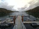 ./images/calvert/dock/20150721/dock20150721_185502.jpg