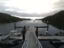 ./images/calvert/dock/20150722/dock20150722_070504.jpg