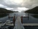 ./images/calvert/dock/20150722/dock20150722_095504.jpg