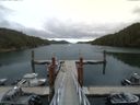 ./images/calvert/dock/20150722/dock20150722_112502.jpg