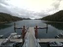./images/calvert/dock/20150722/dock20150722_114502.jpg